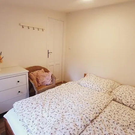 Apartment U Profesora *